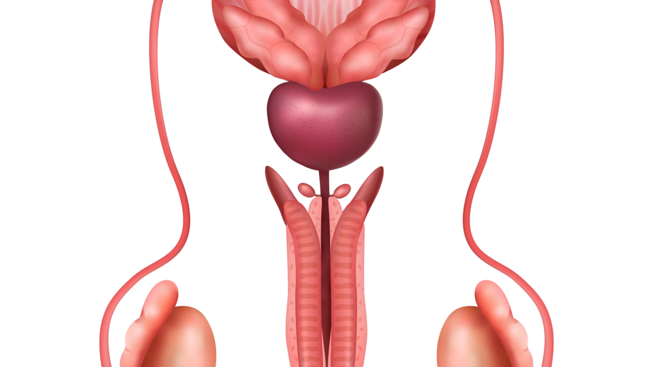 prostat-tani-ve-tetkikleri